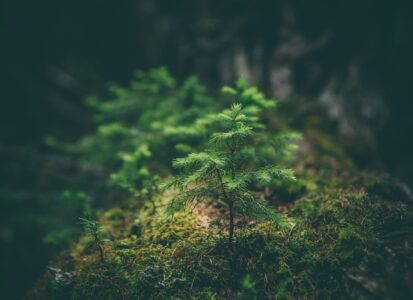 affordable therapy, affordable therapy for Iranian, therapy in Coquitlam, counselling in Vancouver, counseling for Iranian, couples therapy, stress, trauma