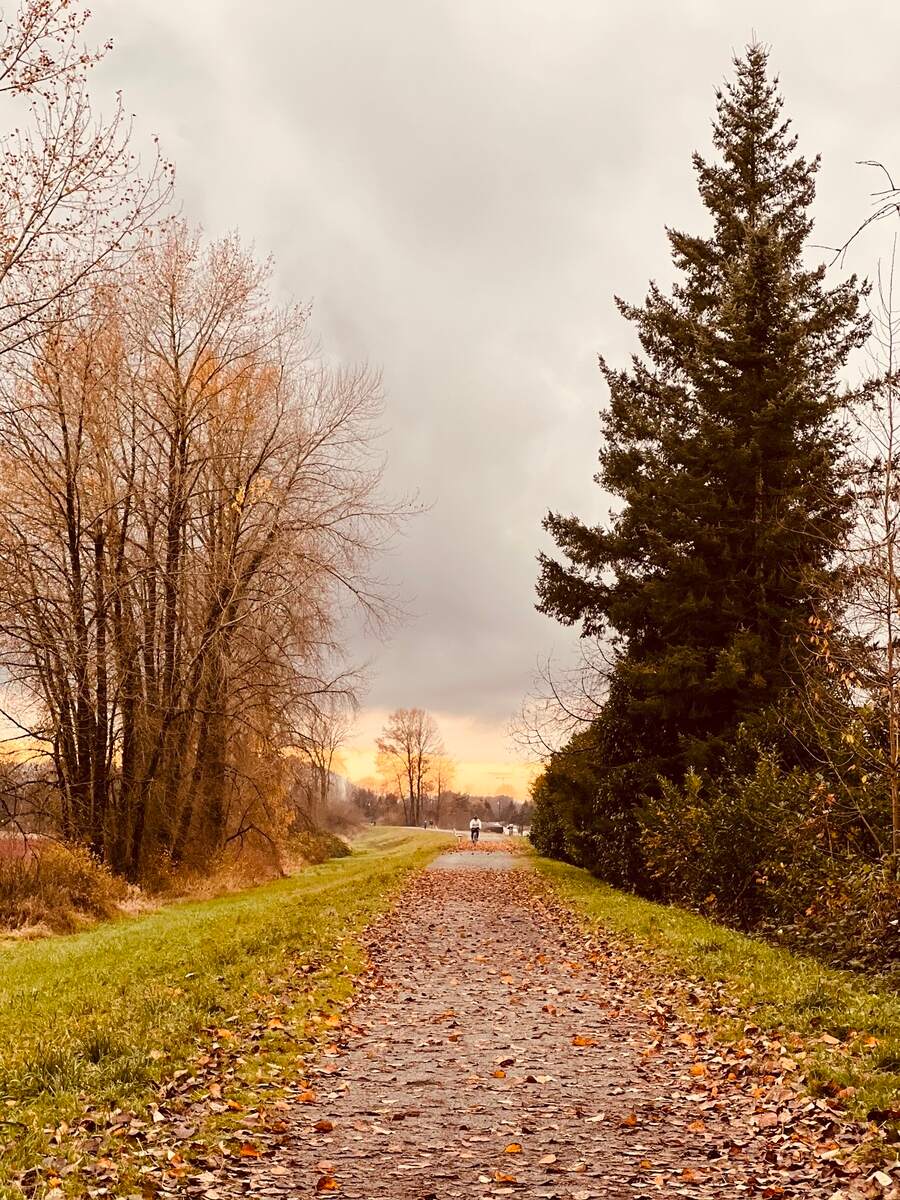 counselling approaches